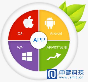 软件开发