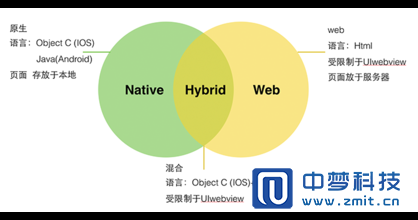 web app开发